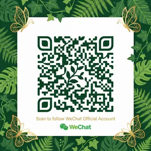 大象传媒公众号二维码